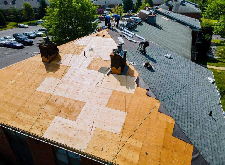 Sunlit asphalt shingles with faded areas, loose granules, and a roof vent beside leafy branches.